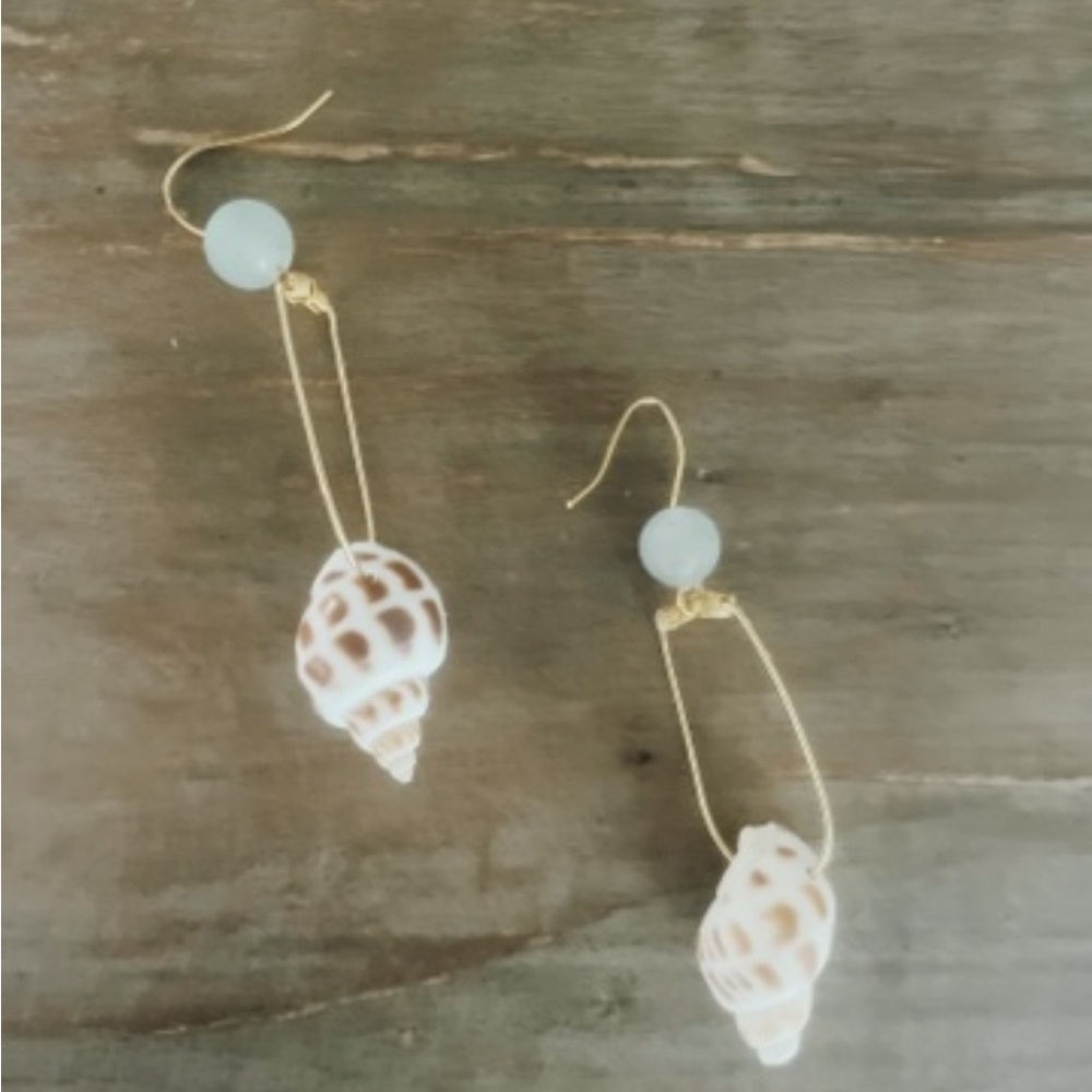 Elegant Gold and Cream Shell Earrings